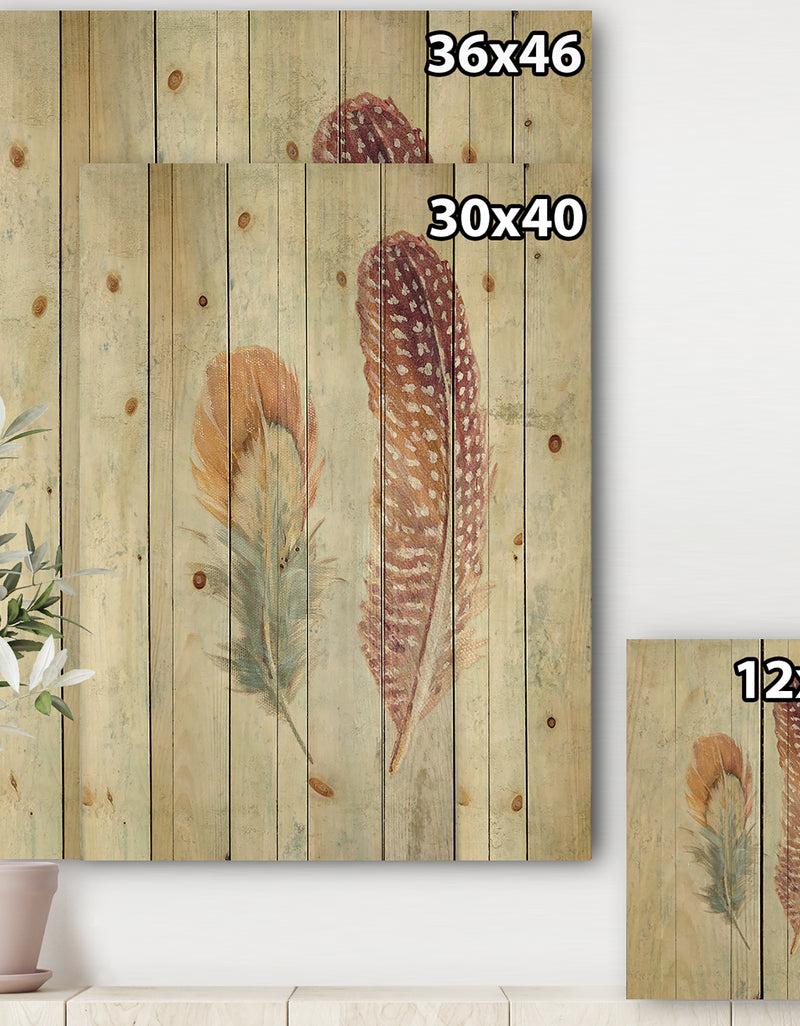 Designq Natural Feathers On Wood II - Farmhouse Print On Natural Pine Wood