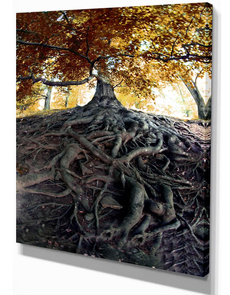 Designq Old Tree In Czech Forest - Landscapes Contemporary On Wrapped Canvas
