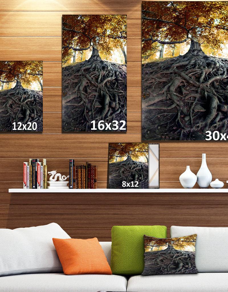 Designq Old Tree In Czech Forest - Landscapes Contemporary On Wrapped Canvas