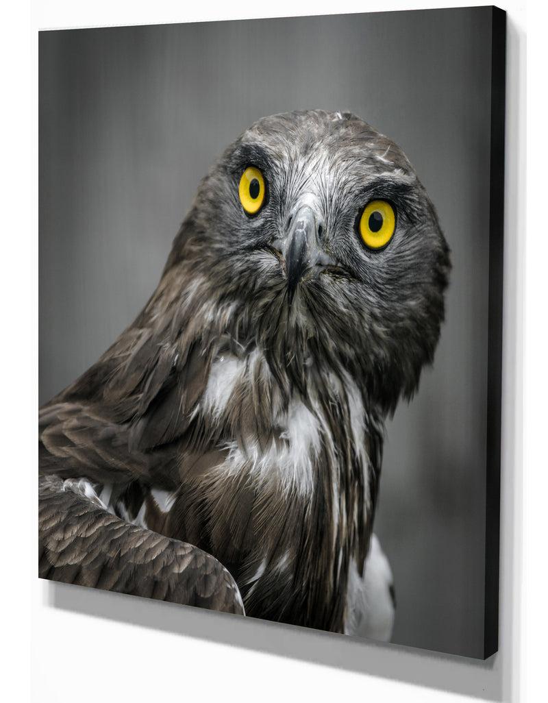 Designq Own In Dark - Animals Painting Print On Wrapped Canvas