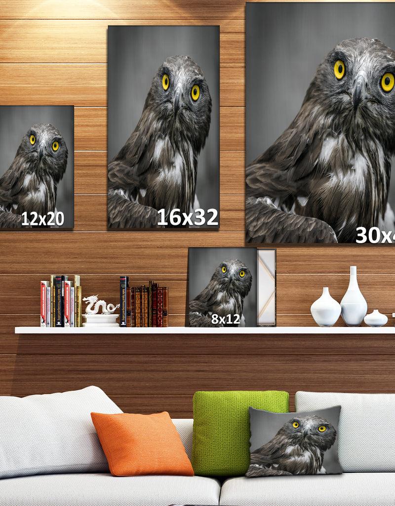 Designq Own In Dark - Animals Painting Print On Wrapped Canvas
