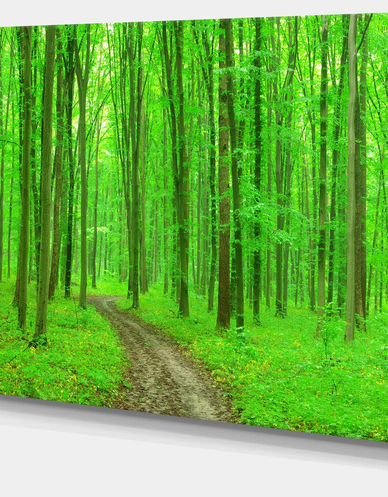 Designq Pathway In Bright Green Forest - Modern Forest Canvas Art