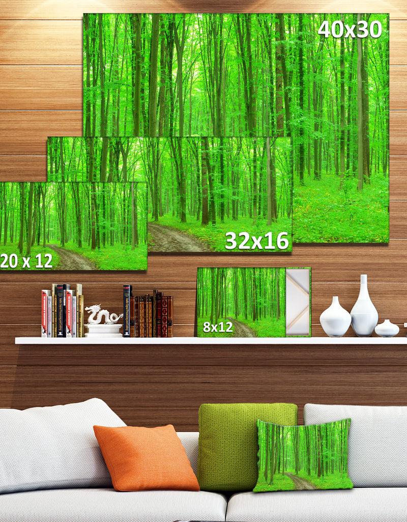 Designq Pathway In Bright Green Forest - Modern Forest Canvas Art