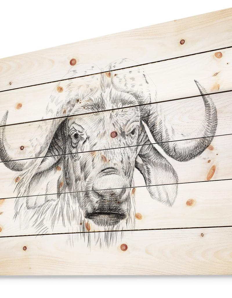 Designq Pencil Bufallo Sketch In Black And White - Animals Painting Print On Natural Pine Wood