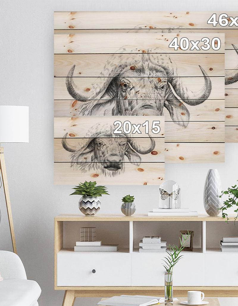 Designq Pencil Bufallo Sketch In Black And White - Animals Painting Print On Natural Pine Wood