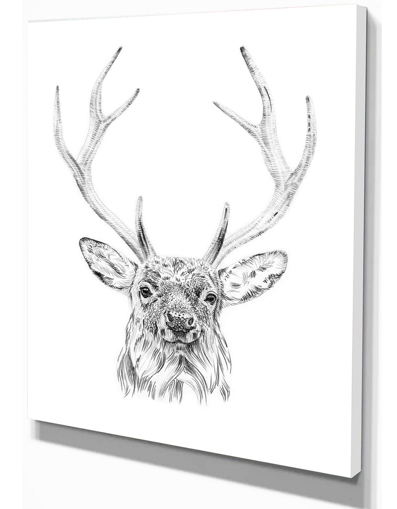 Designq Pencil Deer Sketch In Black And White - Animals Painting Print On Wrapped Canvas