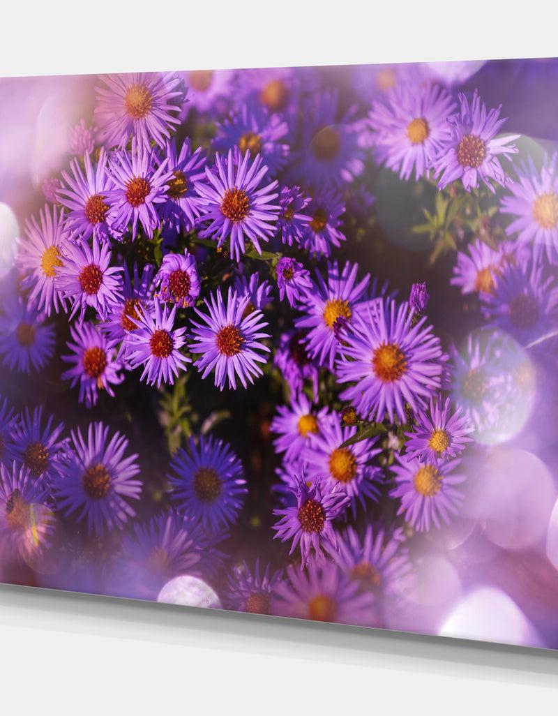 Designq Purple Aster Flower Photograpy Art - Floral Photography On Wrapped Canvas