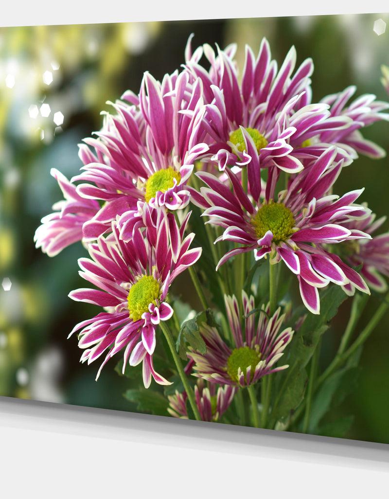 Designq Purple Chrysanthemum Flower - Floral Canvas Wall Art