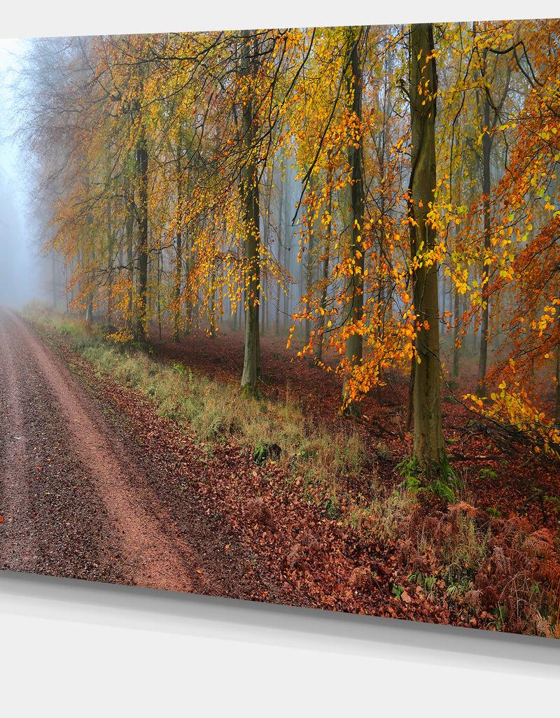 Designq Raising Sun In Fall Forest Panorama - Large Forest Canvas Art