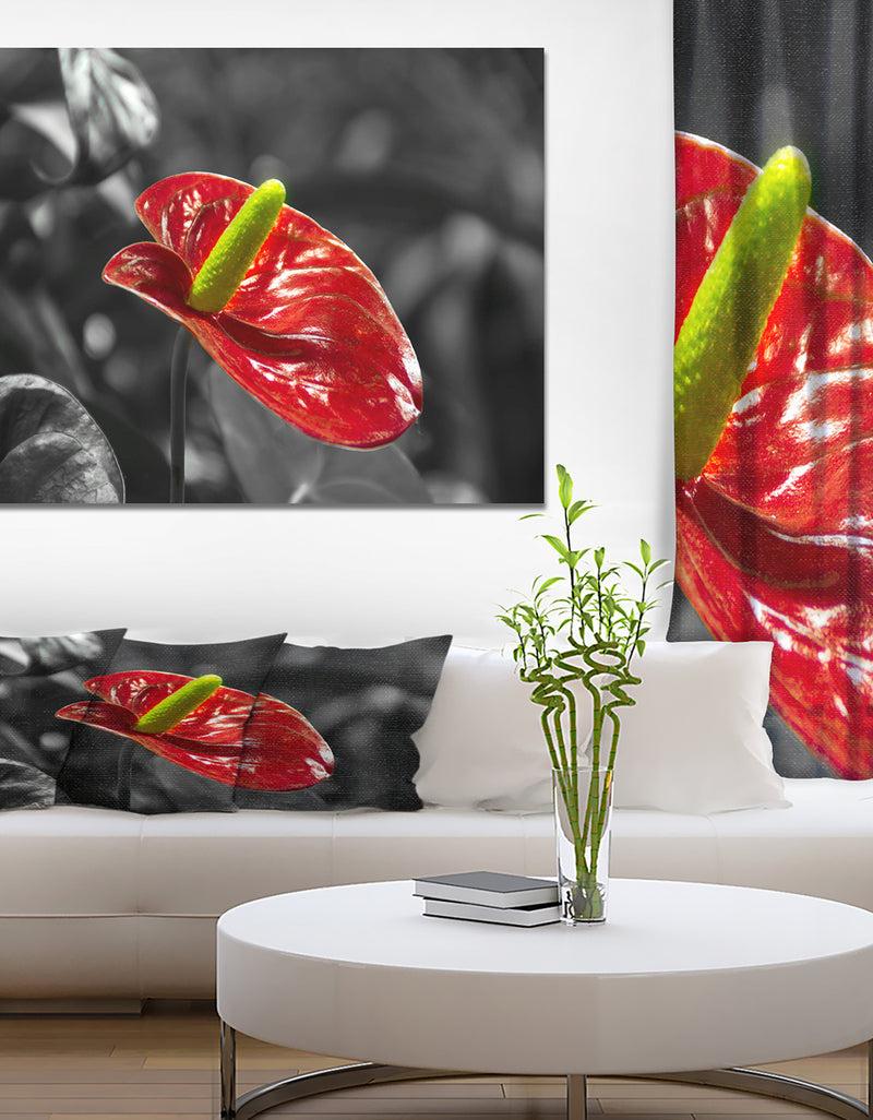 designq Red Anthurium - Floral photography on wrapped Canvas