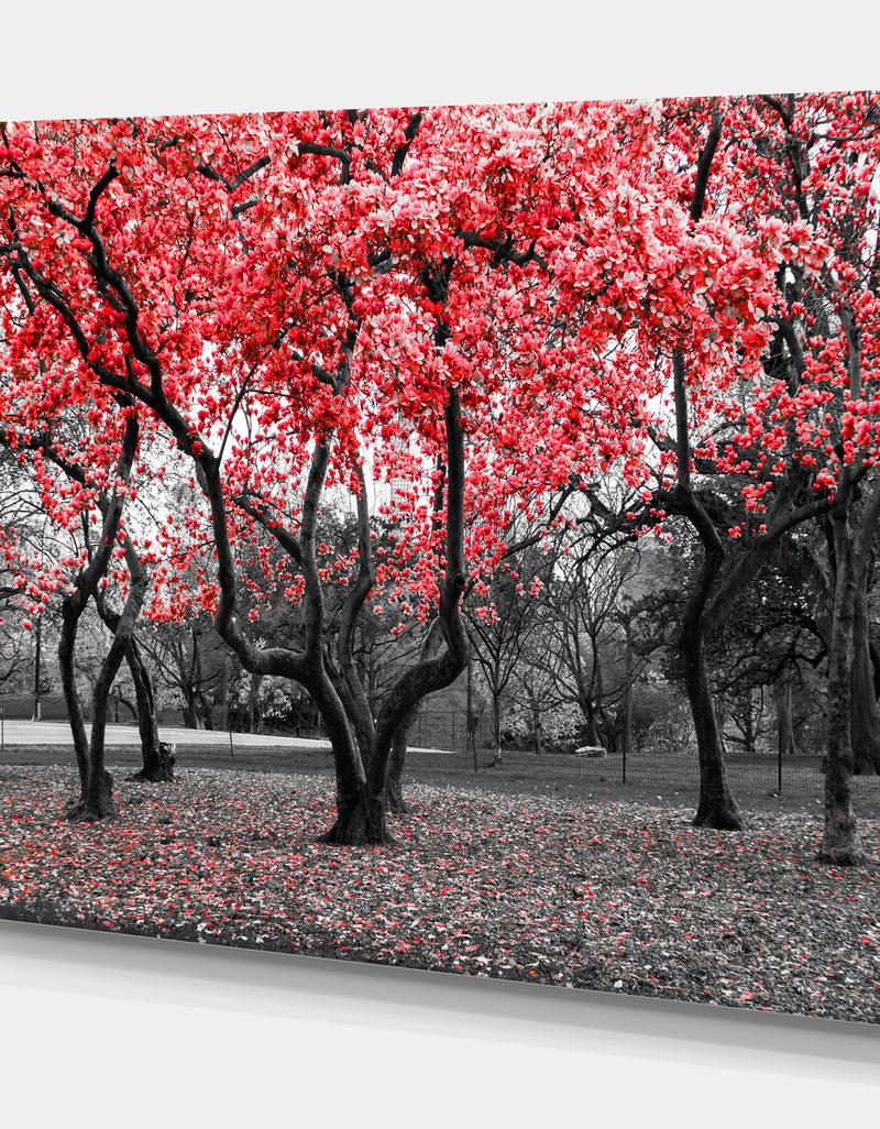 Designq Red Flower Trees Blossom - Floral Landscapes Photographic On Wrapped Canvas