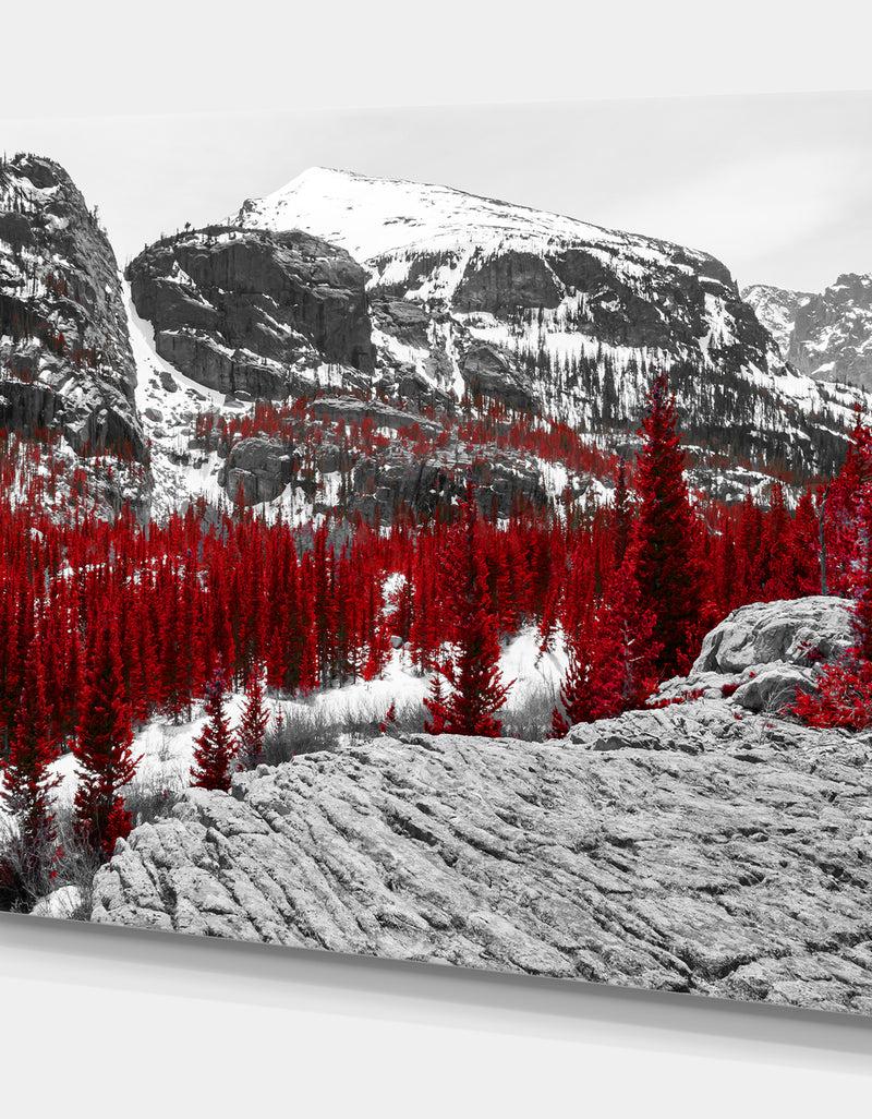 Designq Red Forest In Colorado Rocky Mountains - Floral Landscapes Photographic On Wrapped Canvas