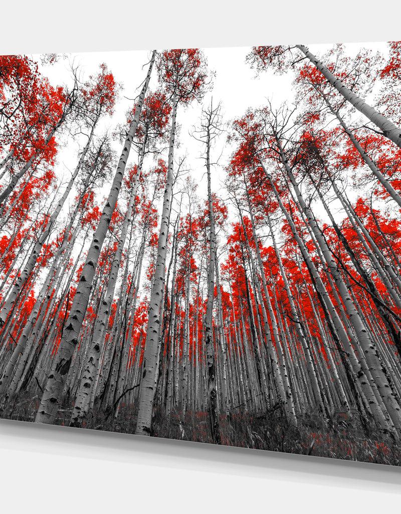 Designq Red Leaf Trees In Tall Forest - Floral Landscapes Photographic On Wrapped Canvas