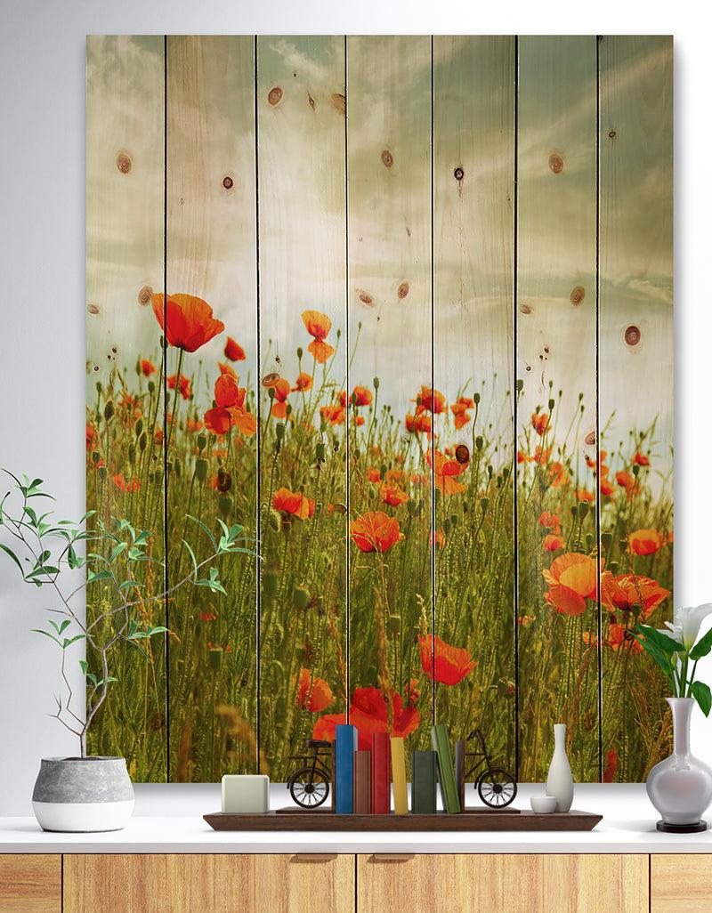 designq Red Poppy Flowers in Green Field - Floral Print on Natural Pine Wood