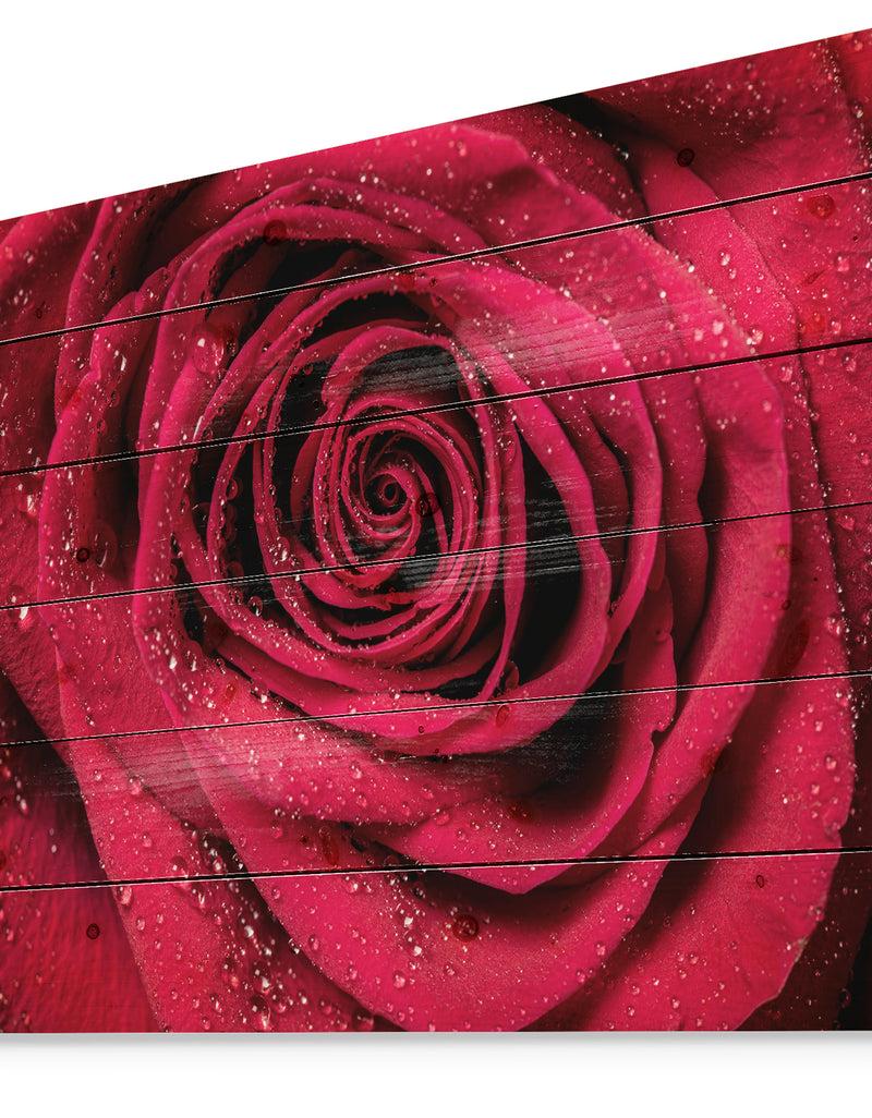 Designq Red Rose Petals With Rain Droplets - Floral Art Print On Natural Pine Wood