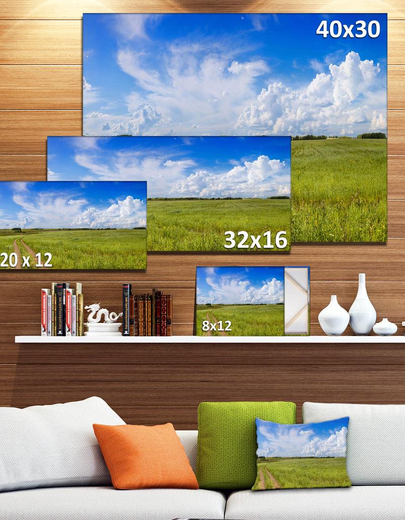 Designq Road In Field With Green Grass - Extra Large Landscape Canvas Art Print