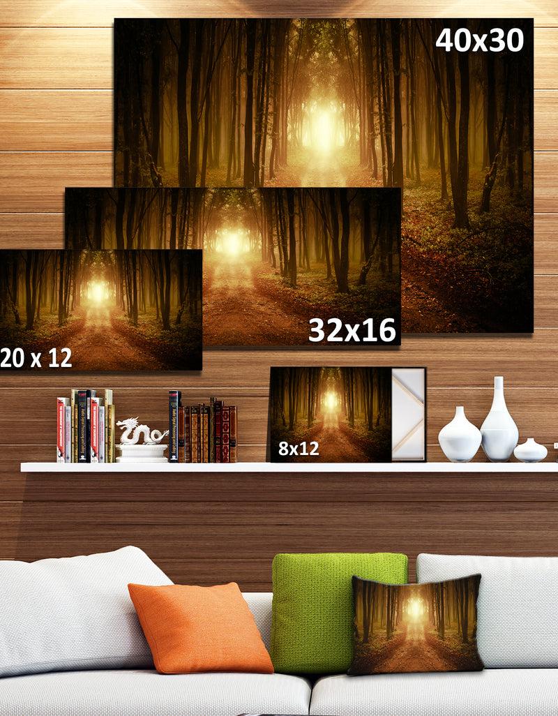 Designq Road In Symmetrical Forest - Landscape Photo Canvas Print