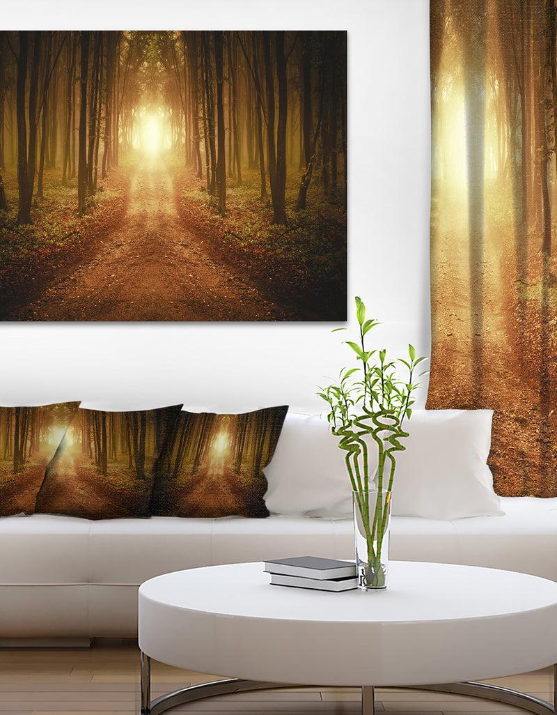 designq Road in Symmetrical Forest - Landscape Photo Canvas Print
