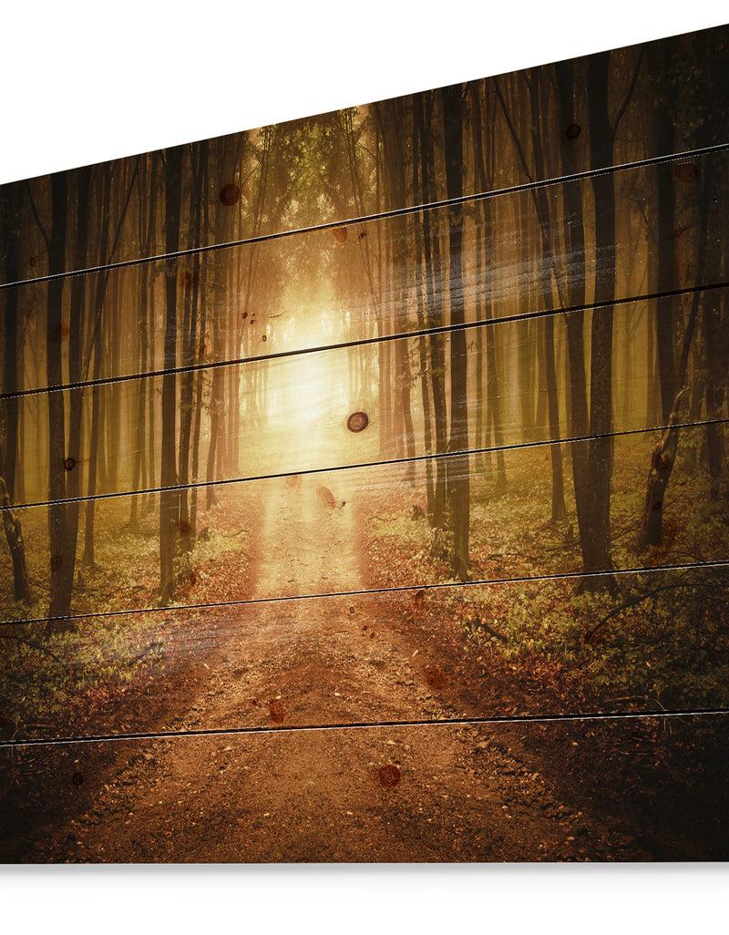 Designq Road In Symmetrical Forest - Landscape Photography Print On Natural Pine Wood