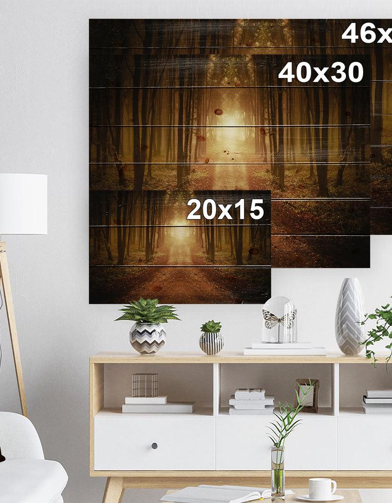 Designq Road In Symmetrical Forest - Landscape Photography Print On Natural Pine Wood
