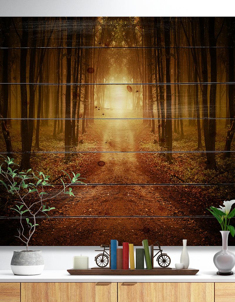 designq Road in Symmetrical Forest - Landscape Photography Print on Natural Pine Wood