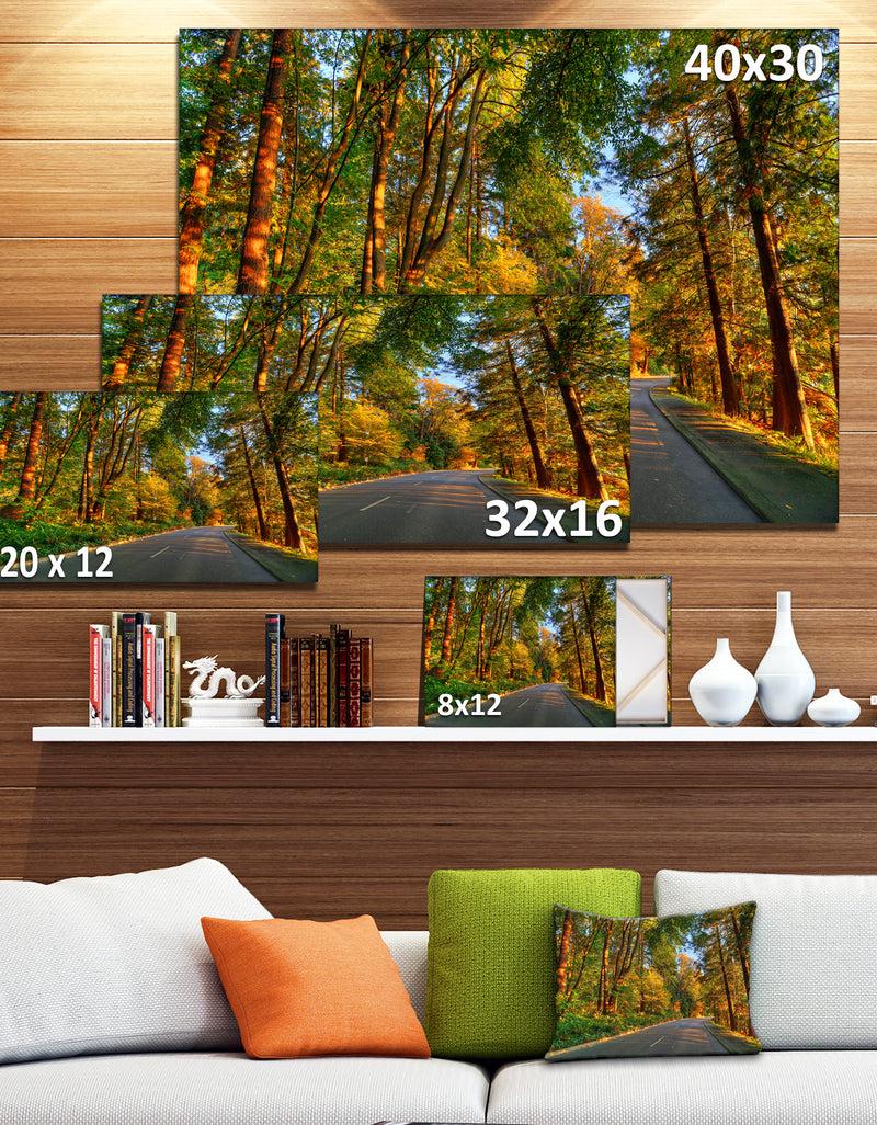 Designq Road Through Yellow Forest - Extra Large Landscape Art Canvas