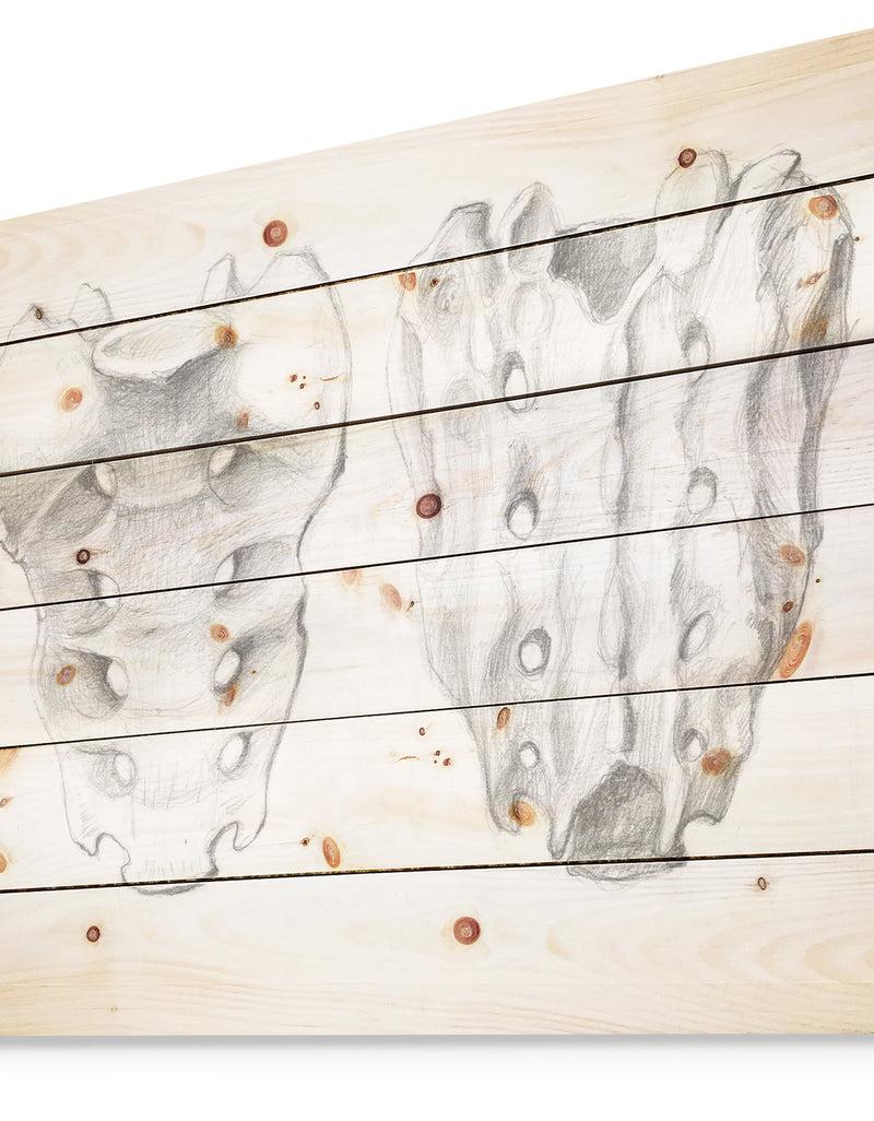 Designq Sacral Bone Double View - Bones Painting Print On Natural Pine Wood