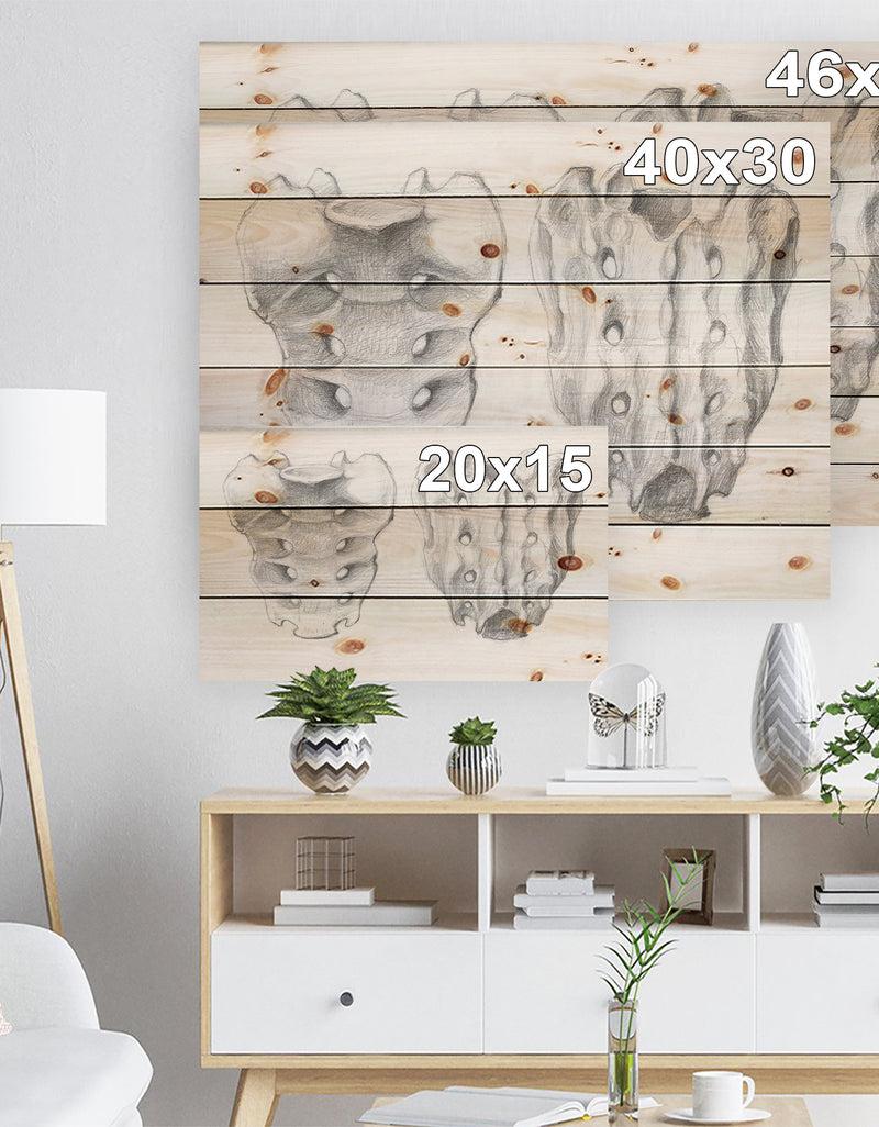 Designq Sacral Bone Double View - Bones Painting Print On Natural Pine Wood
