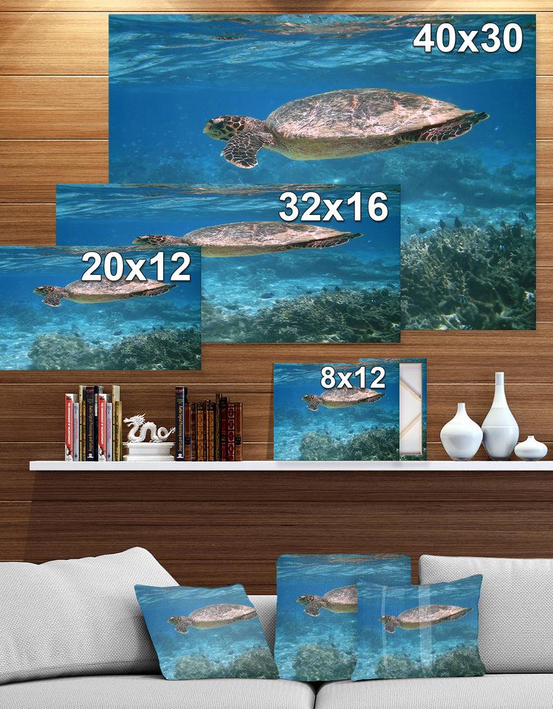 Designq Sea Turtle - Sea & Shore Nautical Photographic On Wrapped Canvas