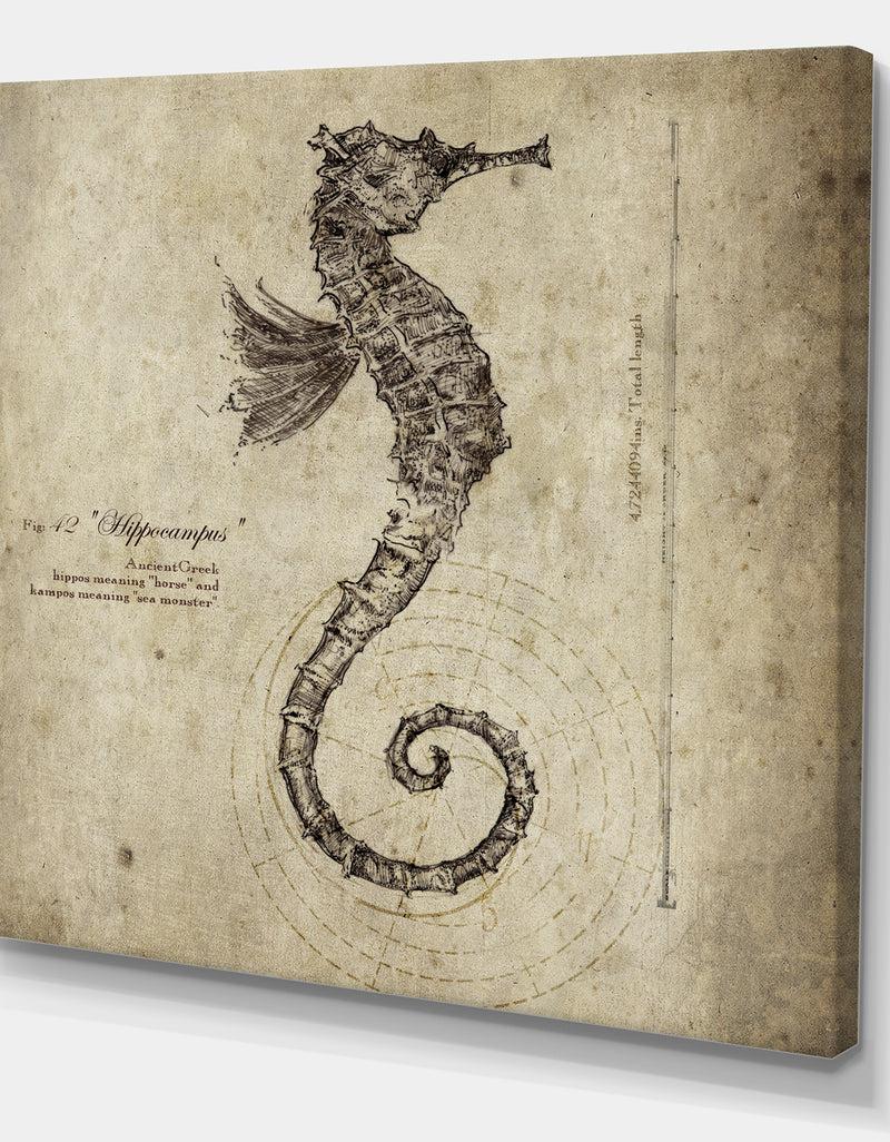 Designq Seahorse Old Style Sketch - Nautical & Coastal Canvas Wall Art