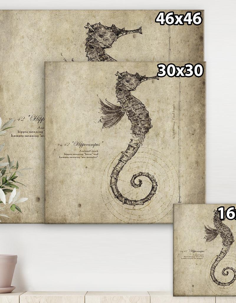 Designq Seahorse Old Style Sketch - Nautical & Coastal Canvas Wall Art