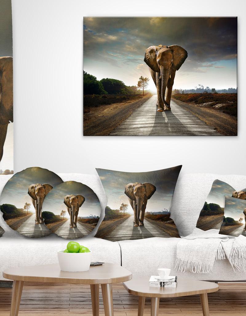Designq Single Walking Elephant - Photography Canvas Art Print