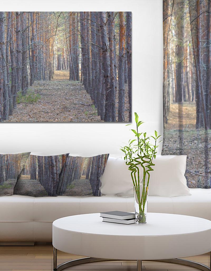 designq Slender Pine Tree Forest Photography - Modern Forest Canvas Art