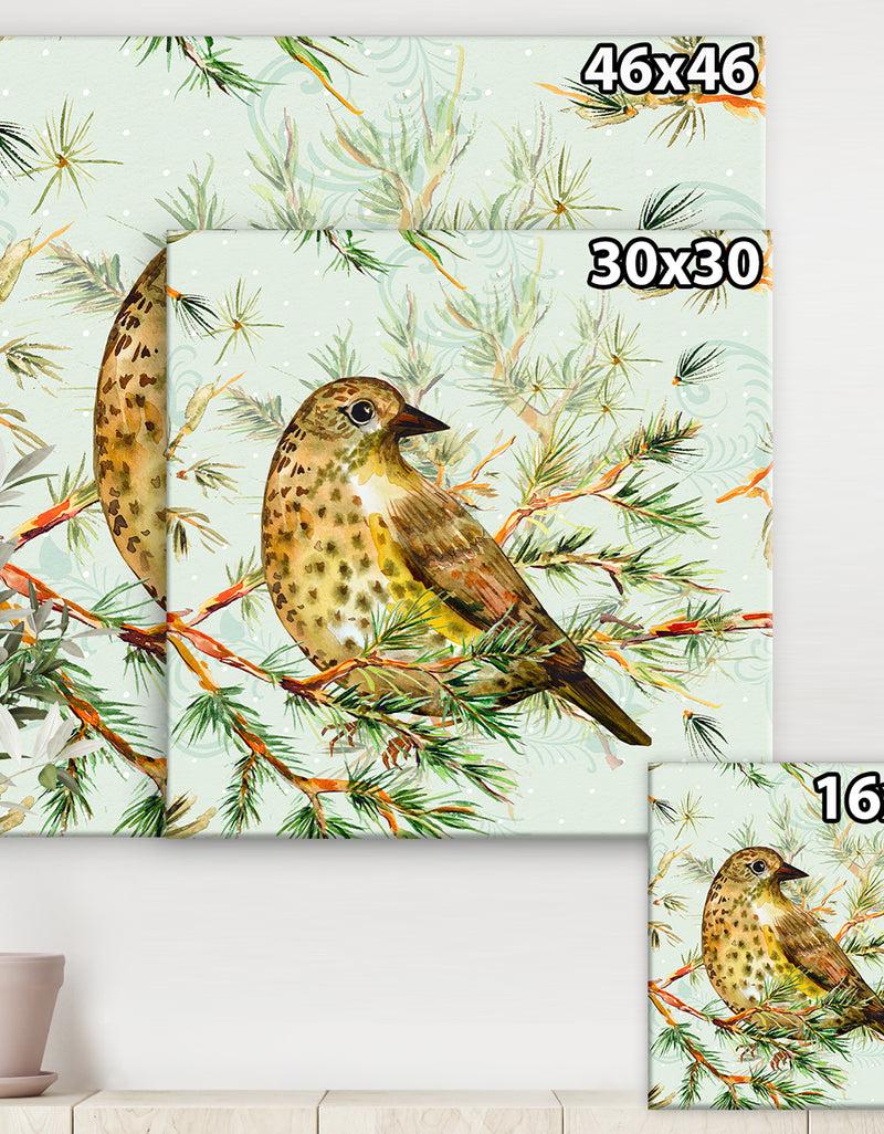 Designq Small Cute Bird On Pine Branch - Animals Canvas Art