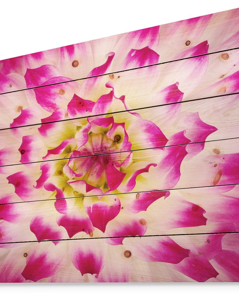 Designq Smooth White Rose Flower Petals - Floral Print On Natural Pine Wood