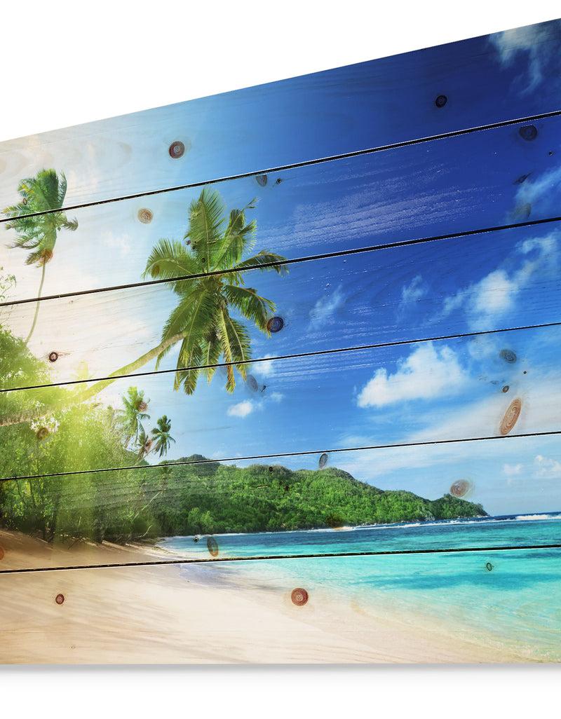 Designq Sunset Beach With Palm - Landscape Photography Print On Natural Pine Wood