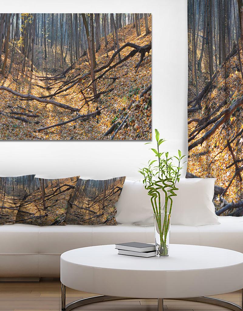 designq Thick Autumn Forest Panorama - Landscape Wall Artwork