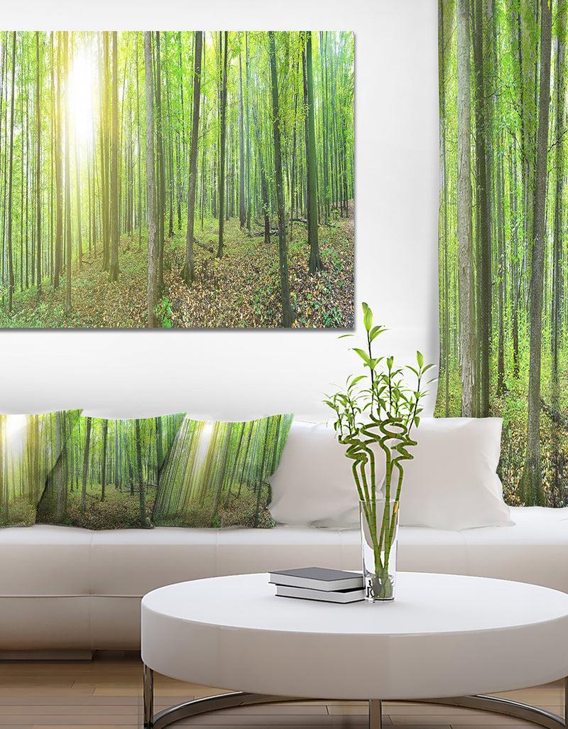 designq Thick Green Forest Panorama - Large Landscape Canvas Art Print
