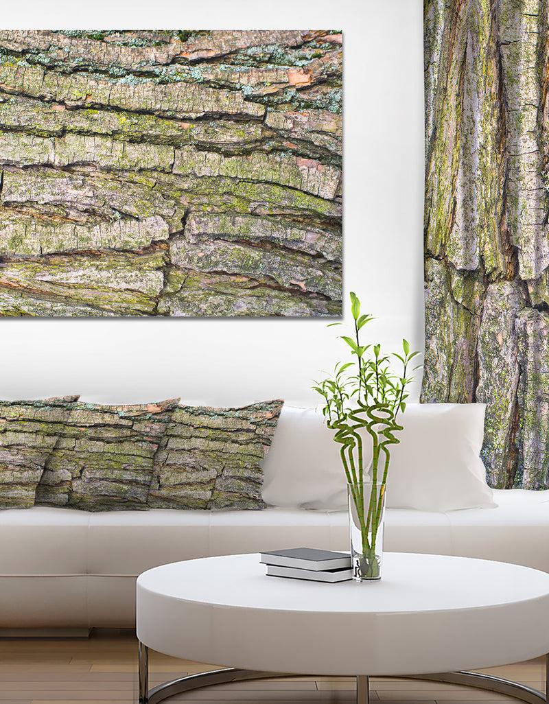 designq Thick Tree Skin Close-Up - Modern Floral Large Canvas Art