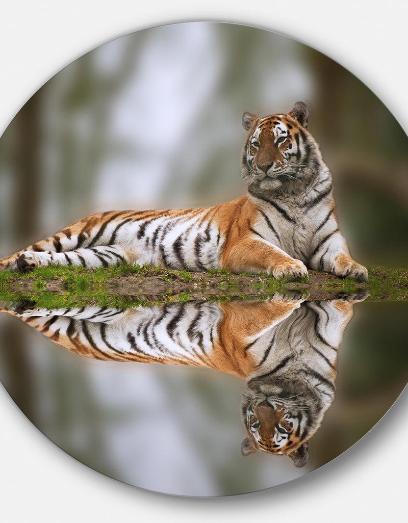 Designq Tiger Reflecting In Water - Animal Photography Round Wall Art