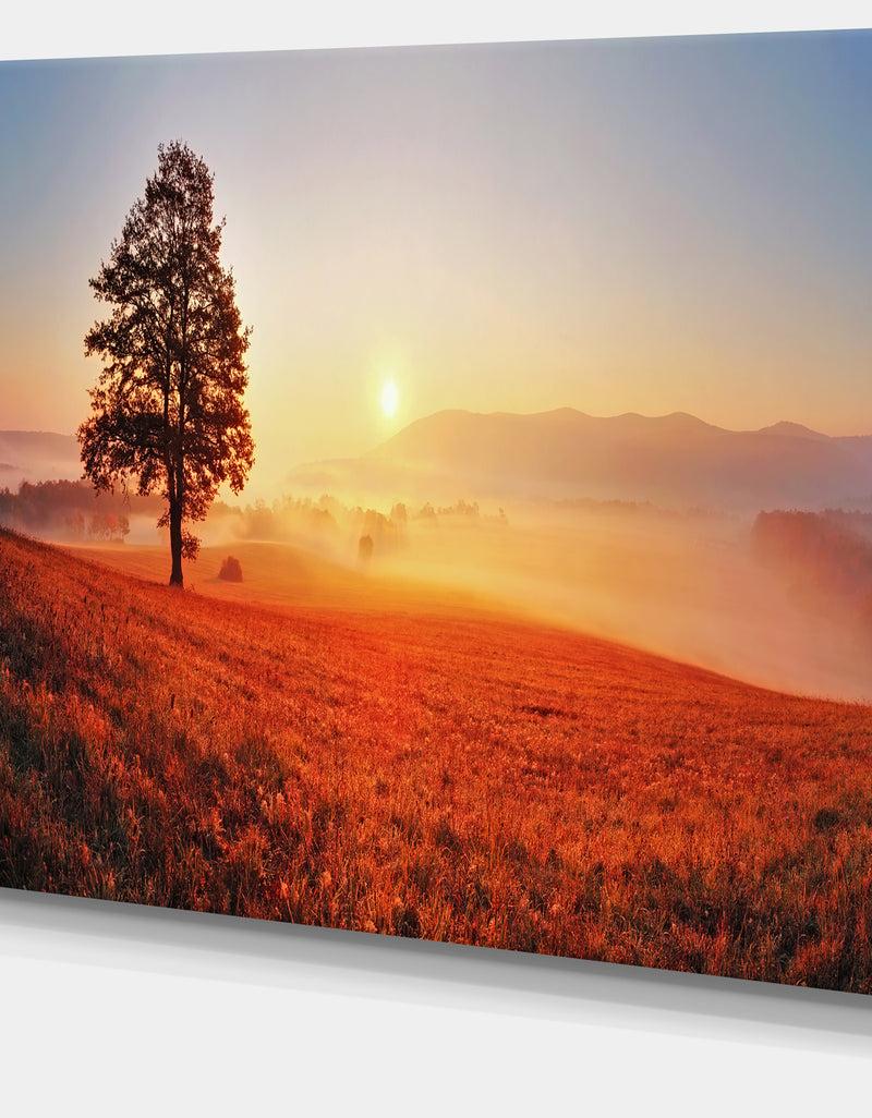 Designq Tree And Sun - Landscape Photography Canvas Art Print