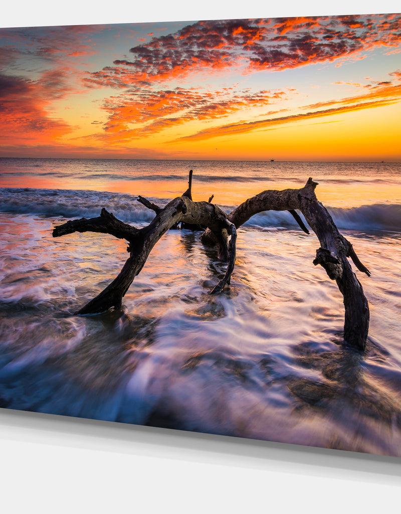 Designq Tree And Waves In The Atlantic Ocean - Seashore Canvas Wall Art