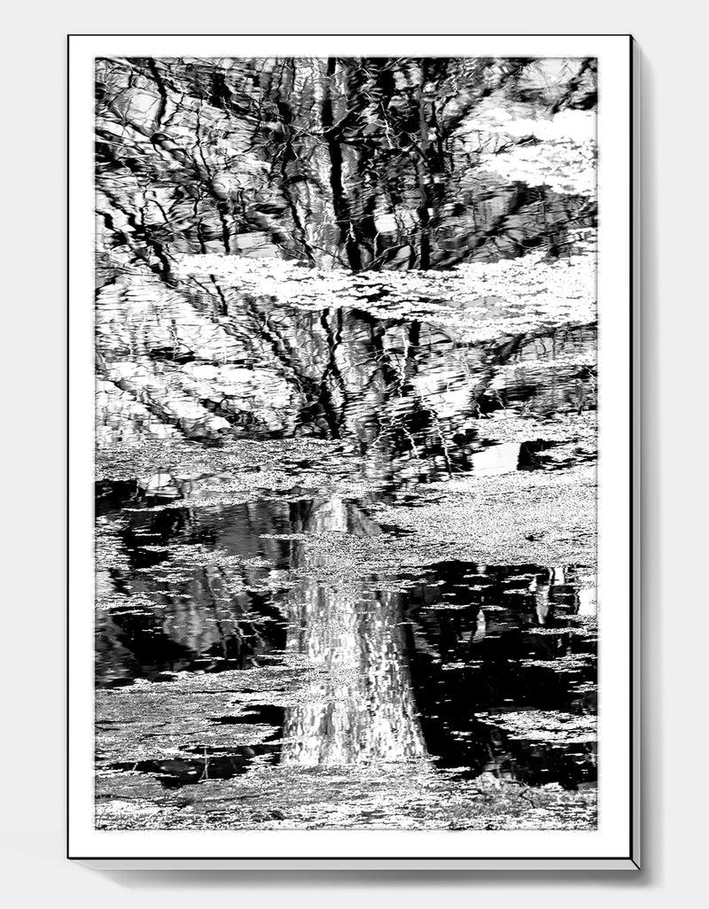 Designq Tree In Reflection And Algea - Cottage Premium Canvas Wall Art