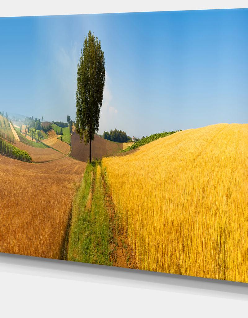 Designq Tuscany Wheat Field Hill Panorama - Landscape Artwork Canvas