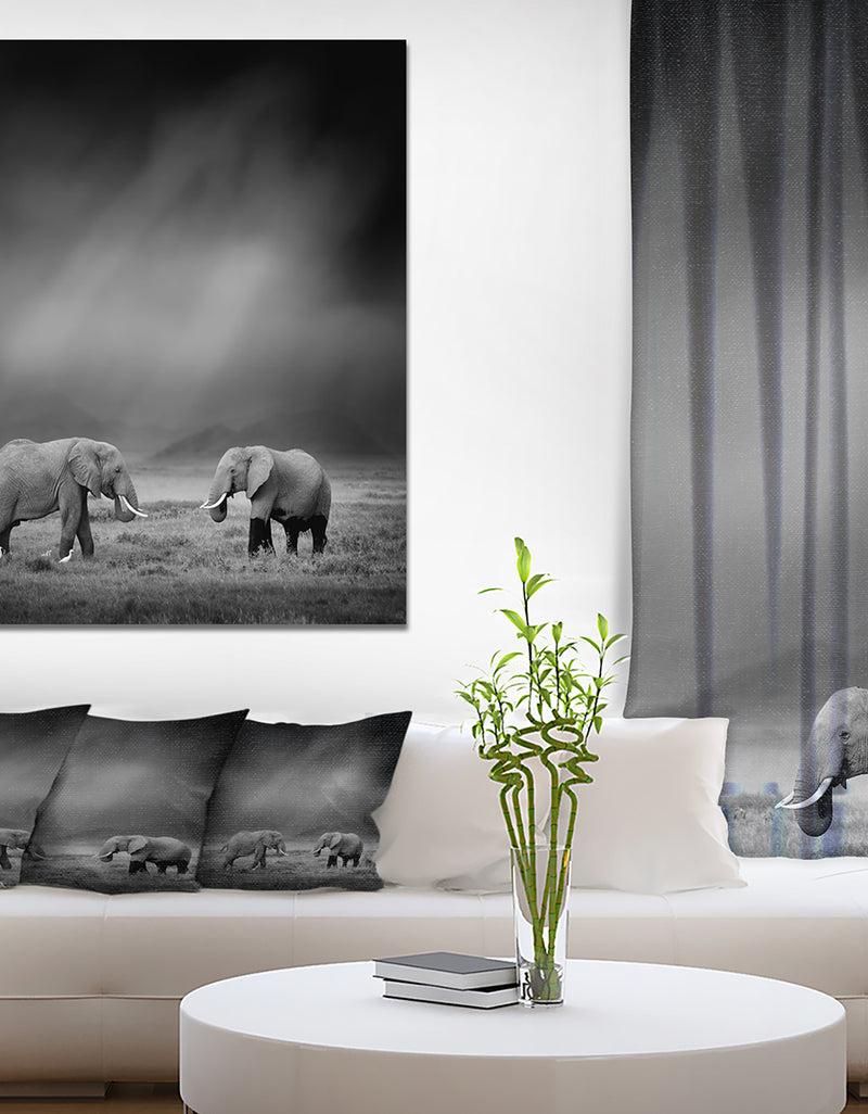 designq Two African Elephant in Dark Background - Africa Animals Photography on Wrapped Canvas