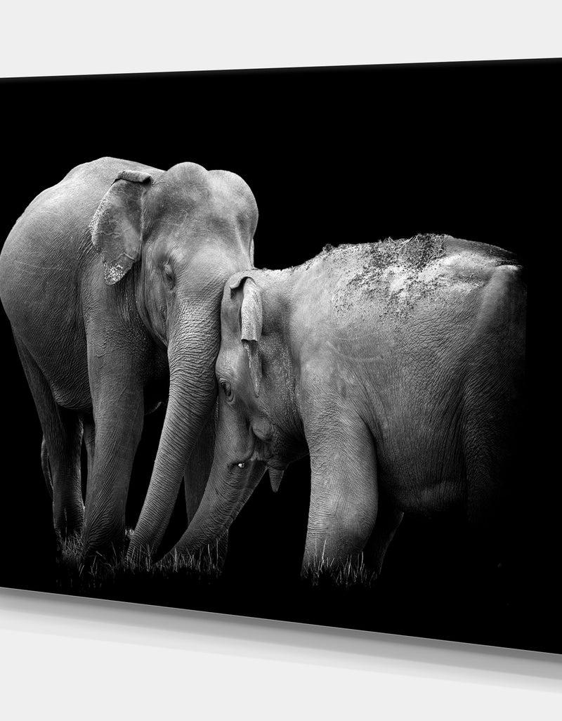 Designq Two Elephant In The Dark - Africa Animals Photography On Wrapped Canvas