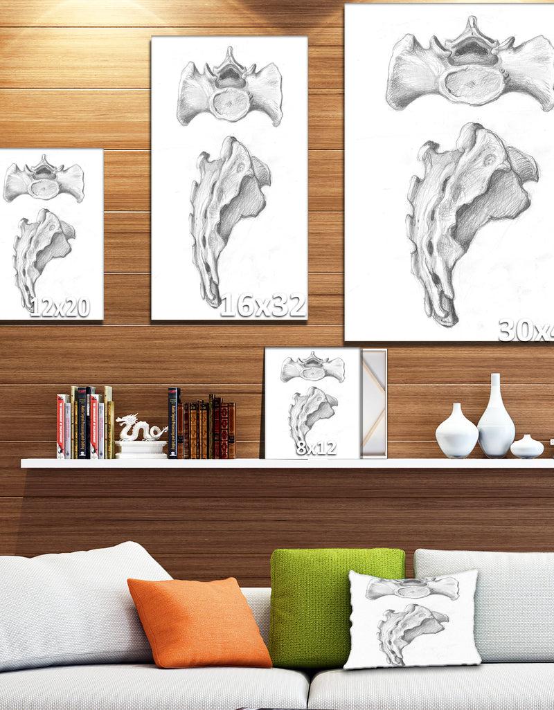 Designq Two Views Of Sacrum - Bones Painting Print On Wrapped Canvas