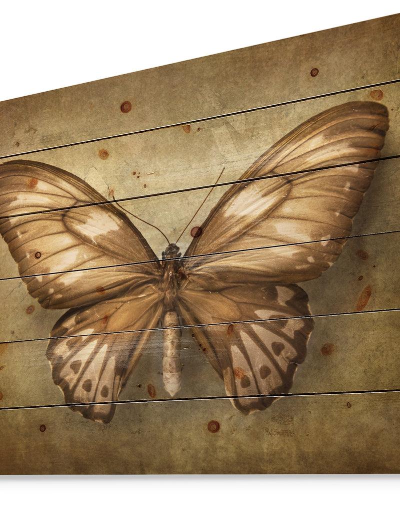 Designq Vintage Butterfly - Vintage Painting Print On Natural Pine Wood