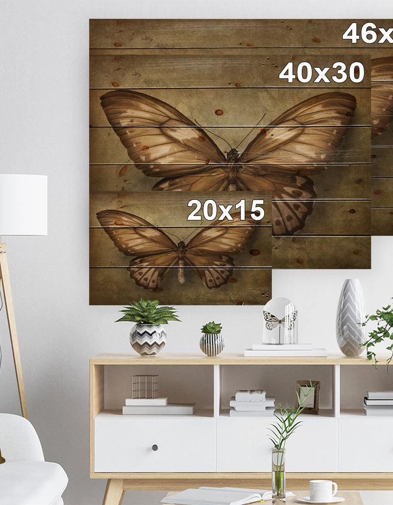 Designq Vintage Butterfly - Vintage Painting Print On Natural Pine Wood