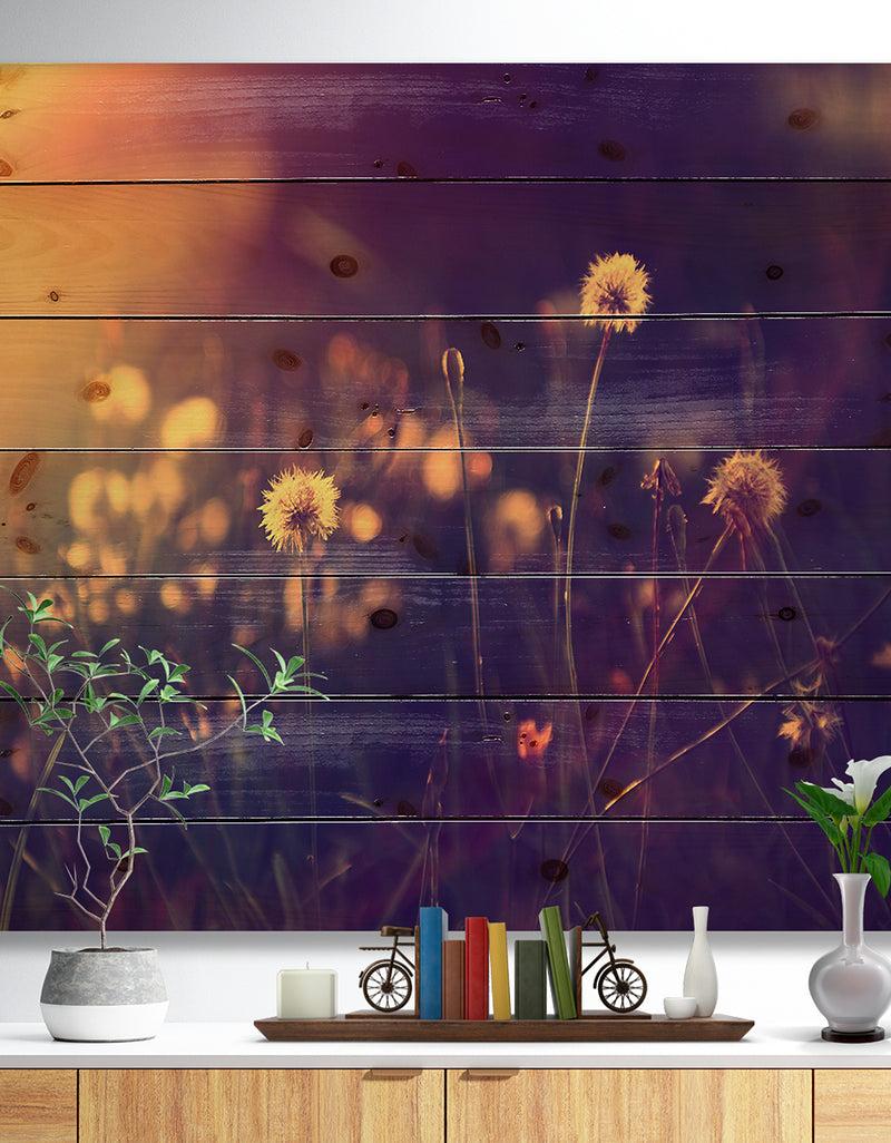 designq Vintage Dandelion Meadow Photo - Floral Print on Natural Pine Wood